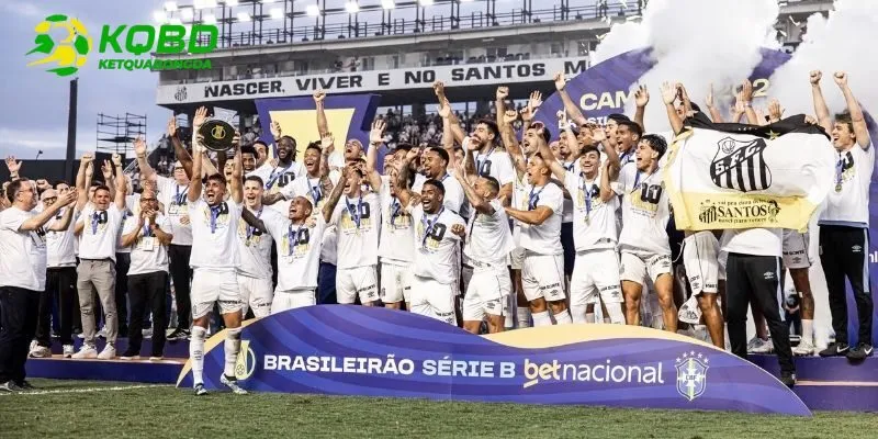 Cách thức tổ chức thi đấu của VĐQG Brazil